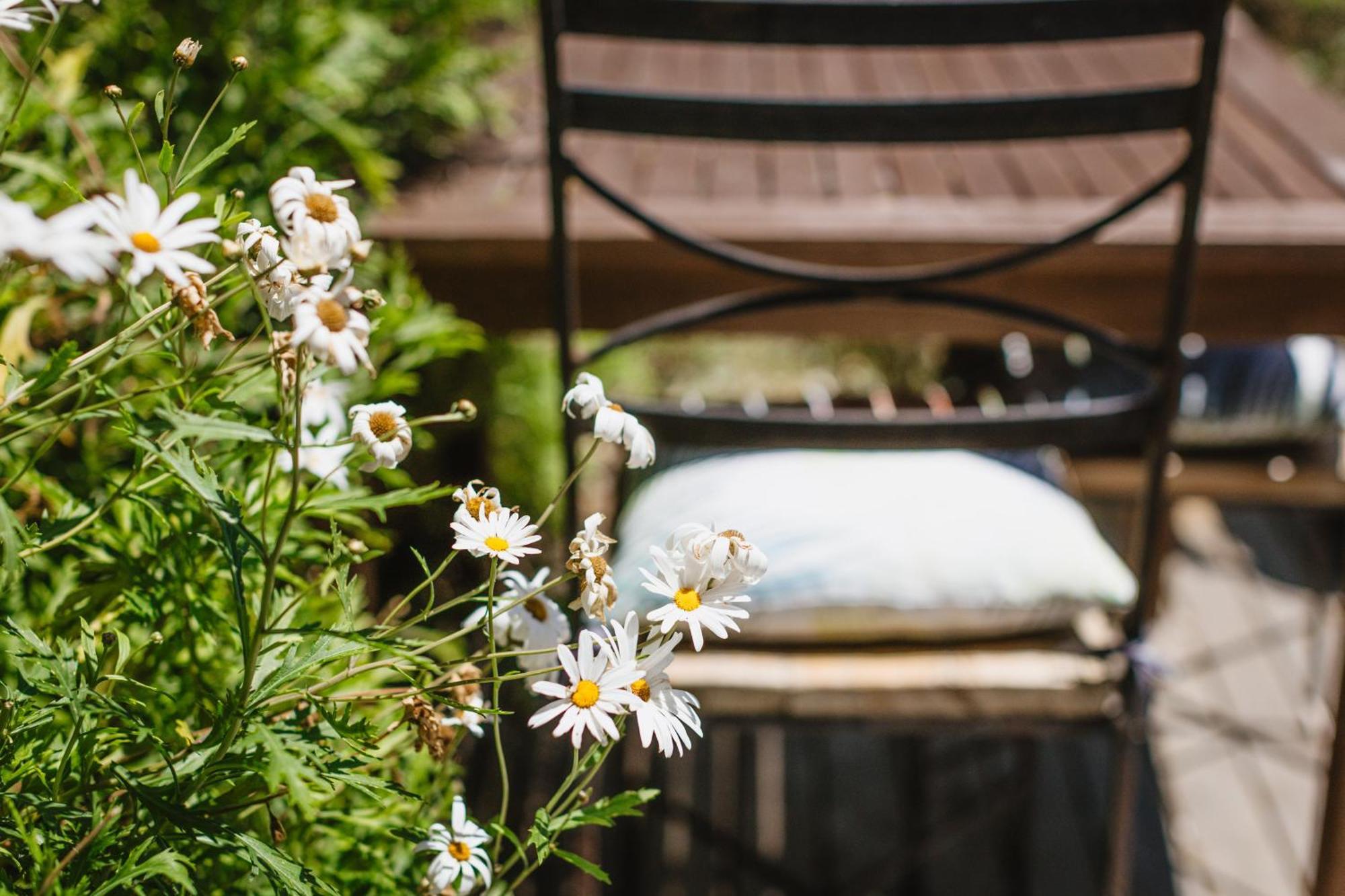 Haumoana Herb Cottage Esterno foto